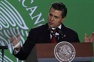 Energy Reform
